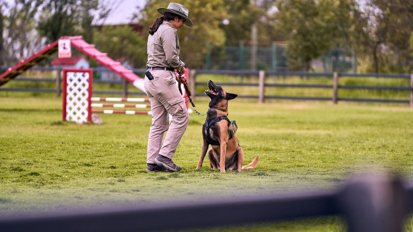 Trainer doing obedience work in a park